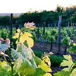 Alojamento de Acomodação e Pequeno-almoço Château Fauchey Cardan