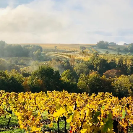 Panzió Chateau Fauchey